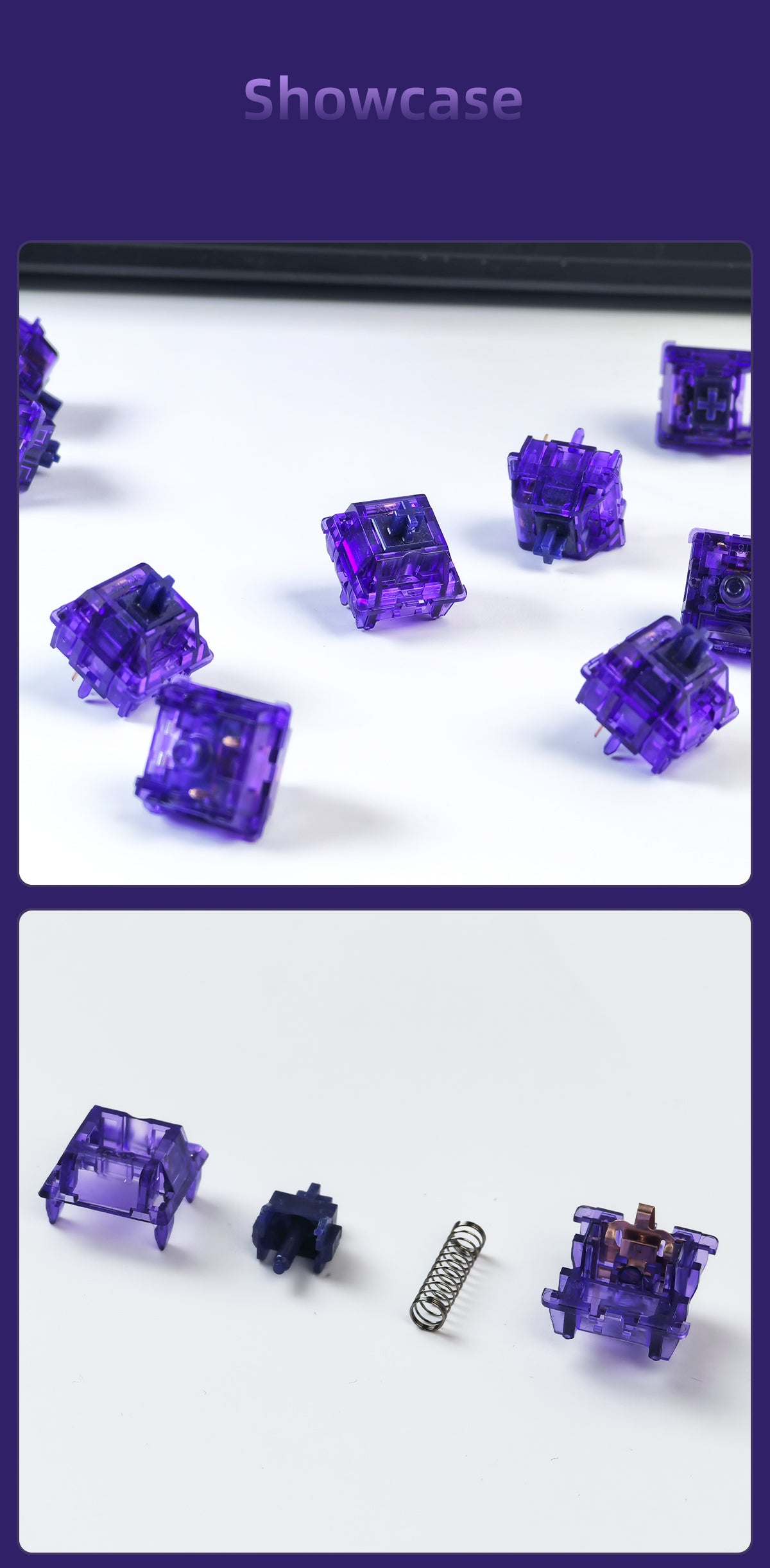 BSUN Gravity Tactile Switch (35Pcs/Box)