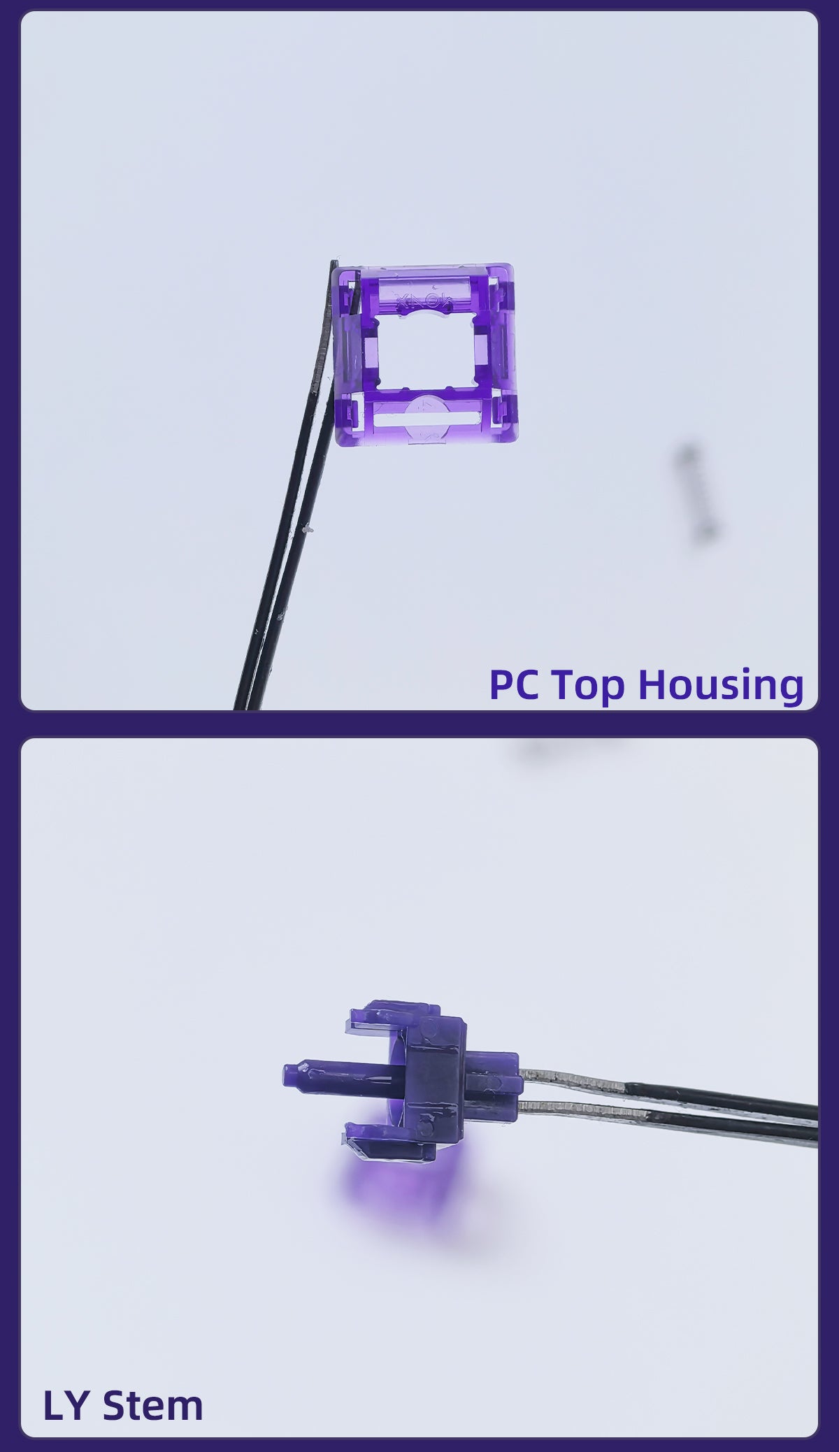 BSUN Gravity Tactile Switch (35Pcs/Box)