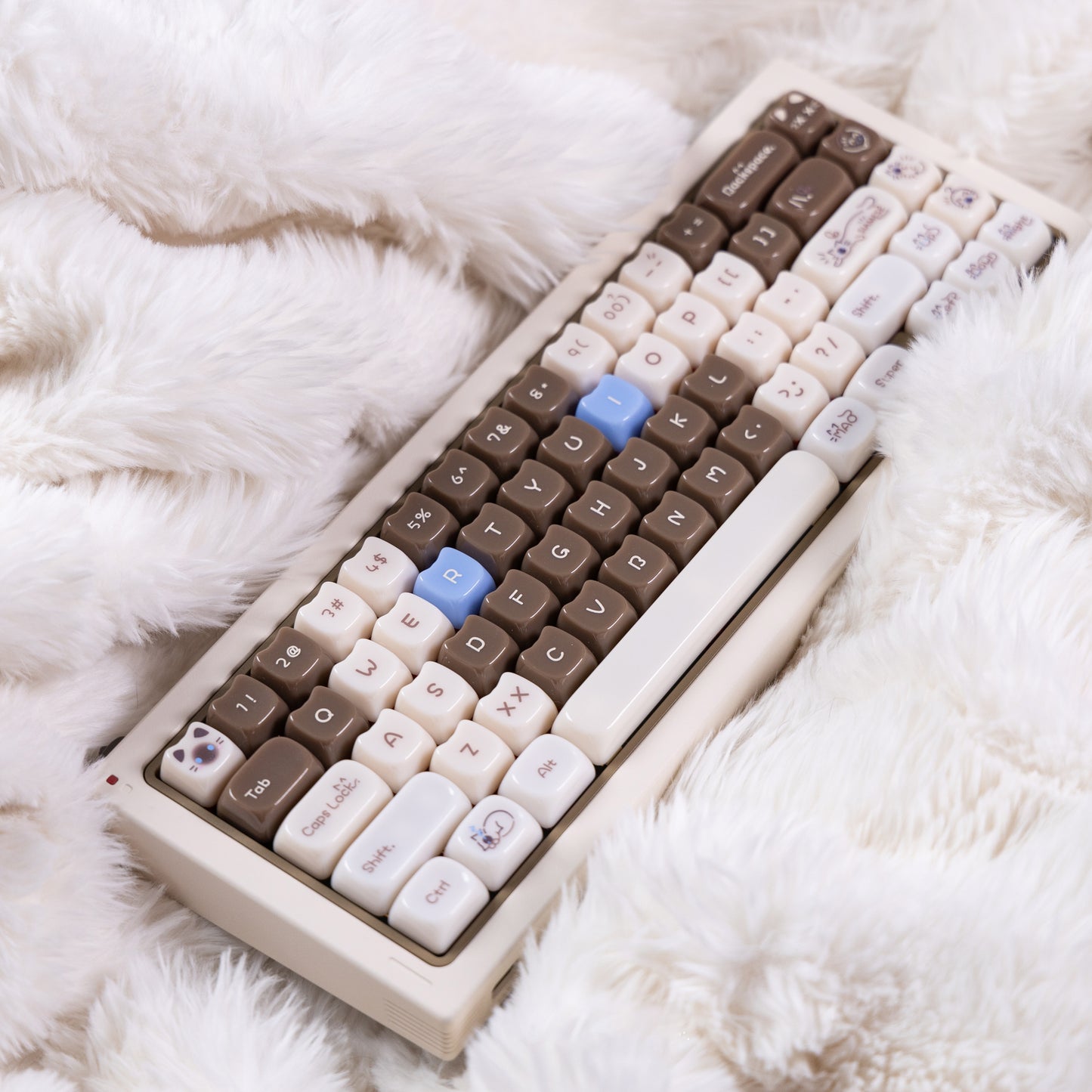 Hexin Candy Cat Keycap Set