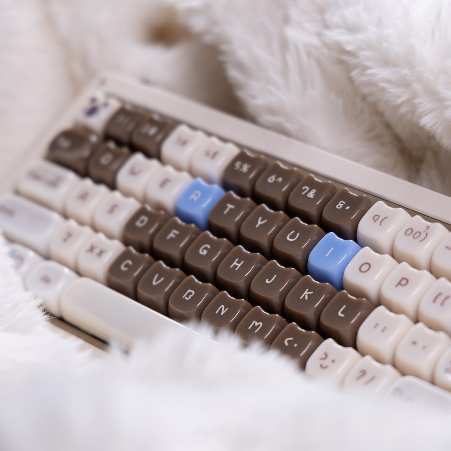 Hexin Candy Cat Keycap Set