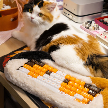 Hexin Candy Cat Keycap Set