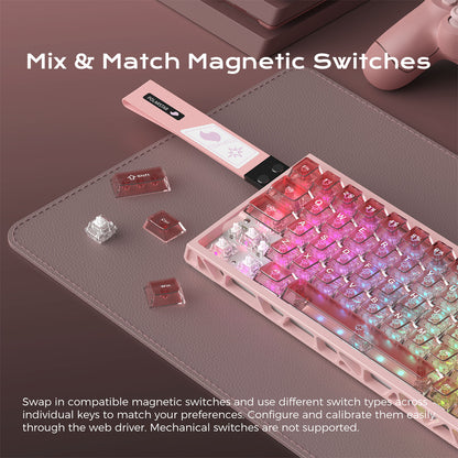 PolarStar 64 HE - 60% Wired Hall Effect RGB Aluminum Gaming Keyboard